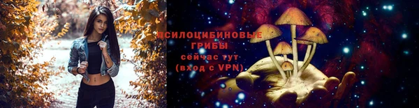2c-b Лагань