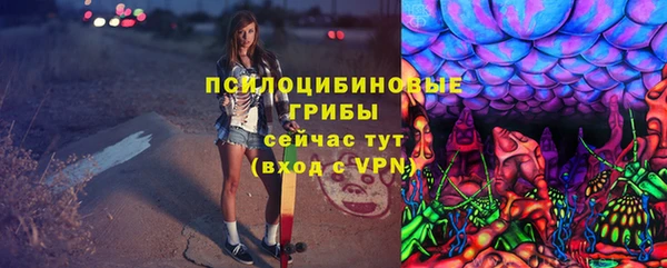 2c-b Лагань