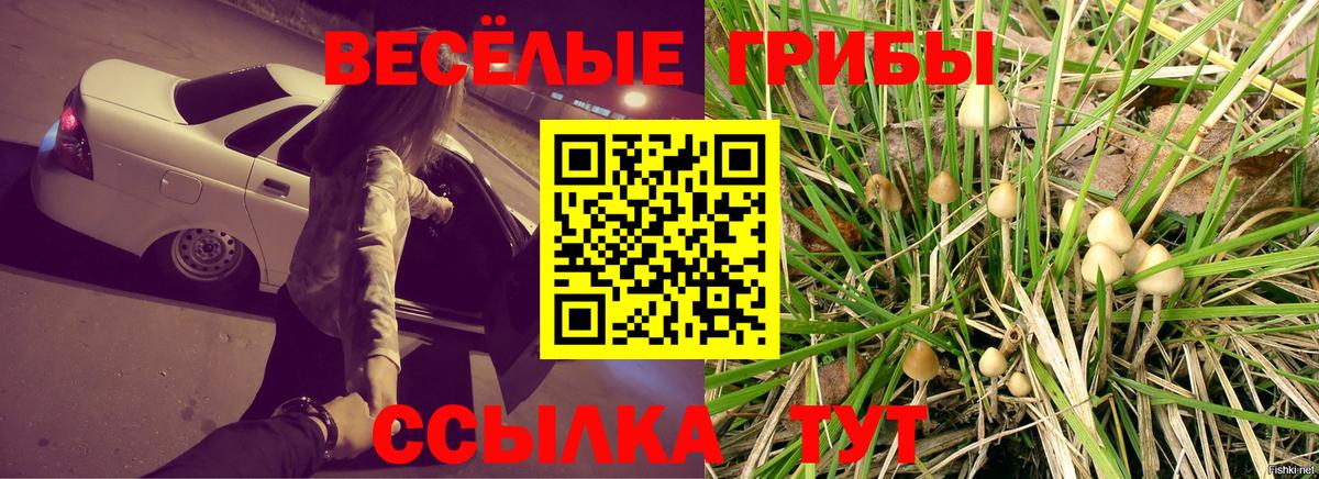 Псилоцибиновые грибы мухоморы Кропоткин