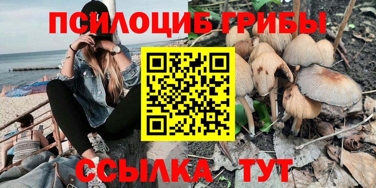 Псилоцибиновые грибы прущие грибы  Вход с VPN  Кропоткин 